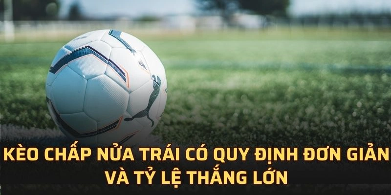 Kèo chấp nửa trái có quy định đơn giản và tỷ lệ thắng lớn