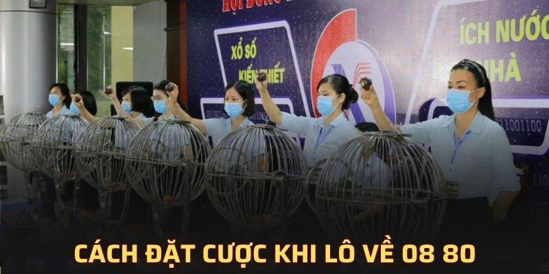 Giải đáp lô về 08 80 hôm sau đánh con gì?