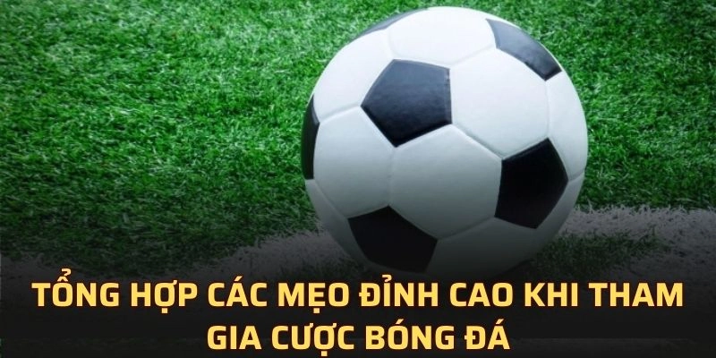 Tổng hợp các mẹo đỉnh cao khi tham gia cược bóng đá