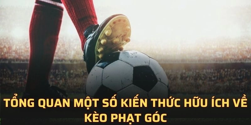 Tổng quan một số kiến thức hữu ích về kèo phạt góc